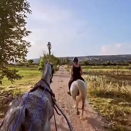 بيت للعطل Ana With Pool And Whirlpool